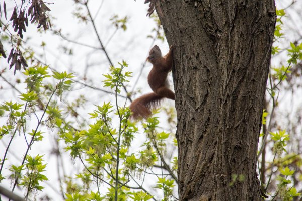German Museum of Technology, Berlin 2017 222