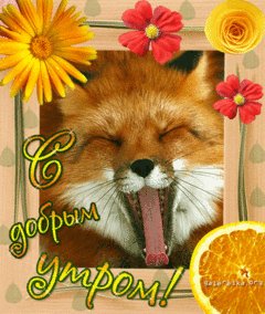 С добрым утром