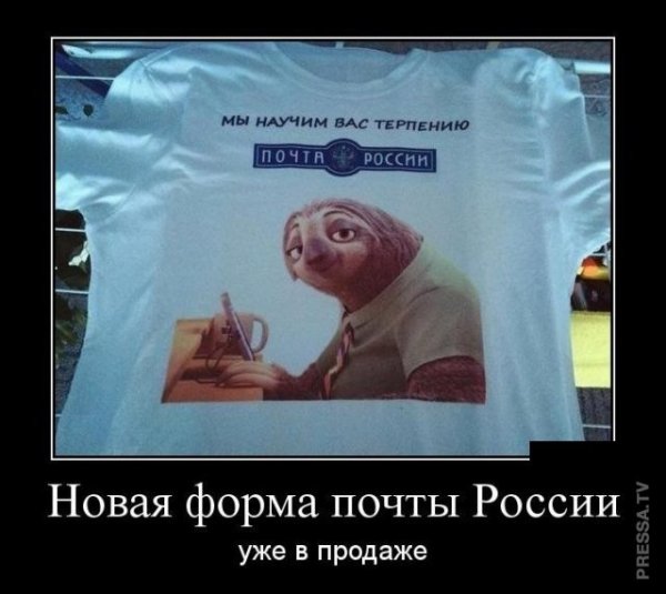file_77431028
