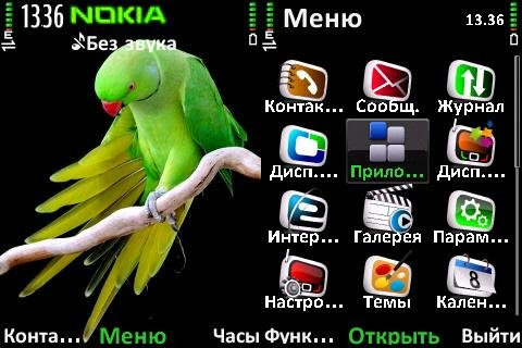 Parrot