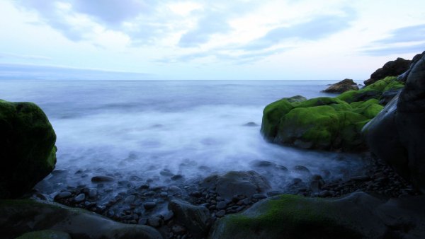 file_74333653