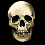 theskull