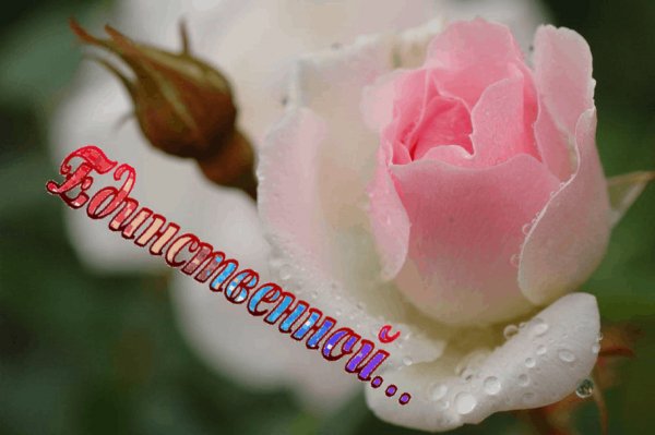 Единственной НРМР