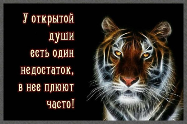 Недостаток