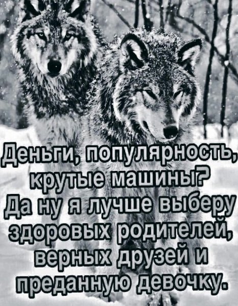 IMG 20250219 051338