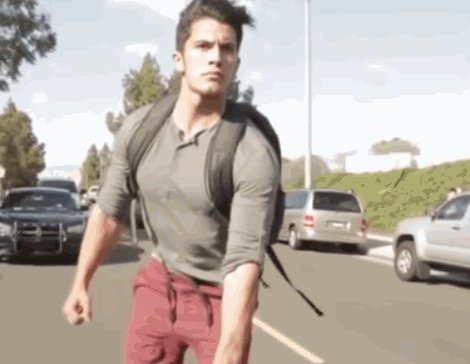 Запрячь Котов И Умчаться В Закат