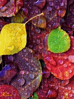 file_58654281