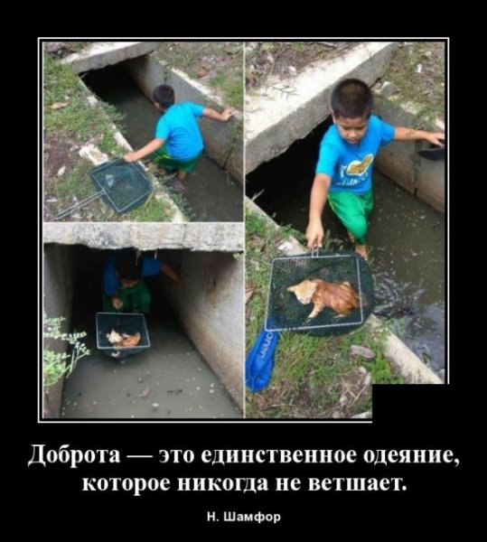 file_81740239