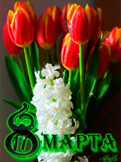 file_55603663