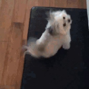 4ea92d11854f2f79a709ad27eedca1325486f685