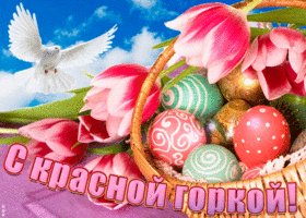 file_93394043