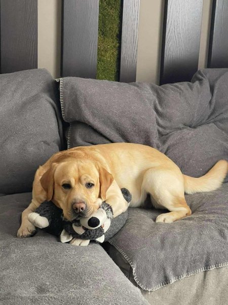 HSPTSFJKNVXXDHJNBCCKF