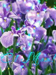 file_56573507