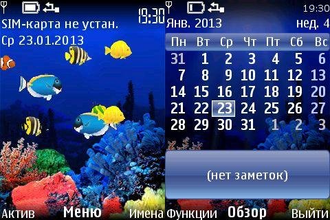 Reef