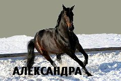 Александра