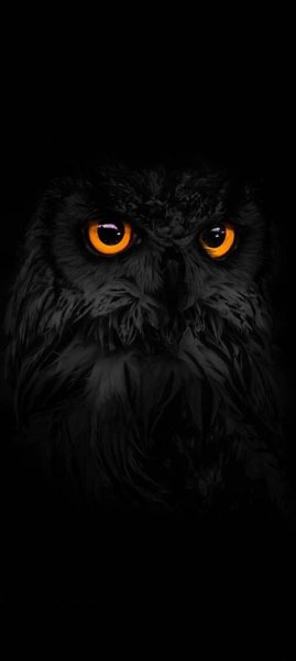 Eyes