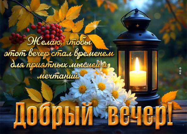file_101080609