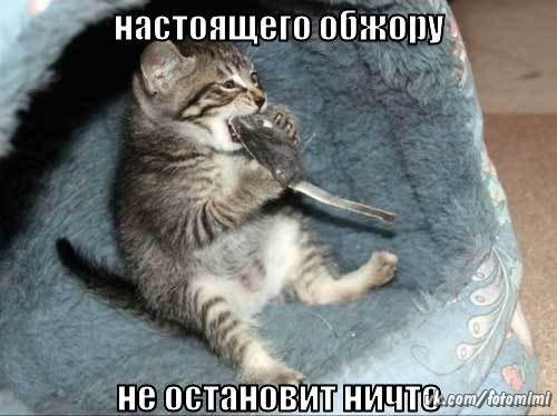 1xmgw2hpZ7vlPqSrdbq4a gk. 000