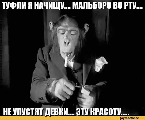 46D8ADE4-F730-49E9-BA2F-D34E3C77047C