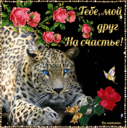 file_93391239