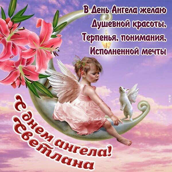IMG 20221116 203626