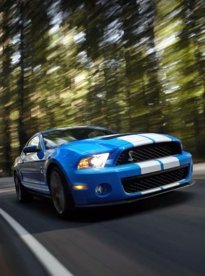 FORD "Shelby"