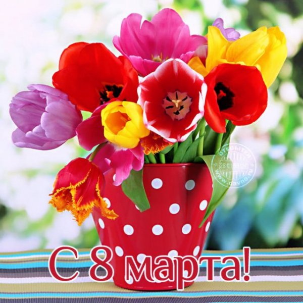 file_72736610