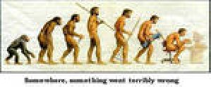 Evolution-samsung128x160