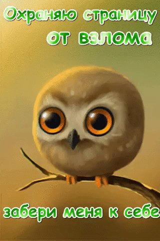 file_75605524