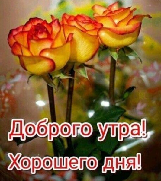 IMG 20191125 212015