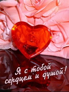 Я с тобой сердцем и душой