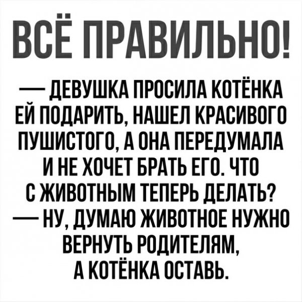 Image20181004005104169