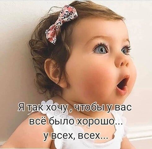 PfeWD9v6 zQ