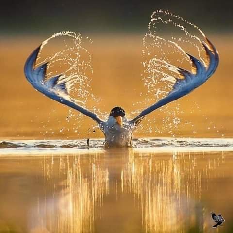 FB IMG 1608140499085