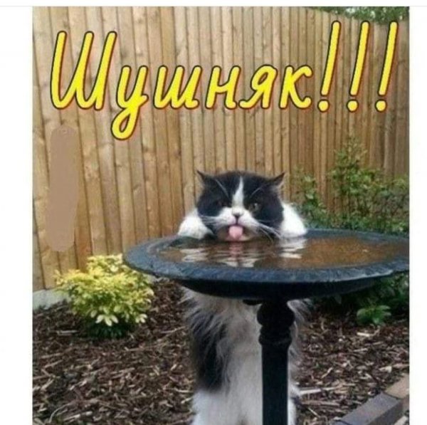 FB IMG 1776447087015