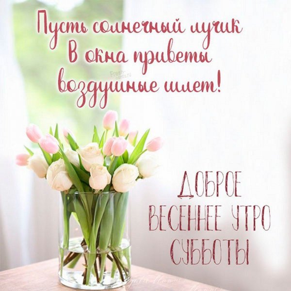 IMG 20240303 020801