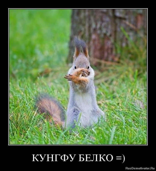 Кунгфу
