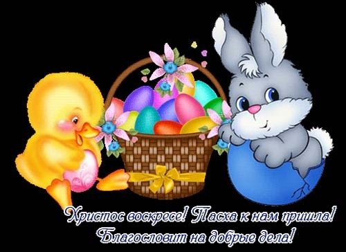 file_84185335