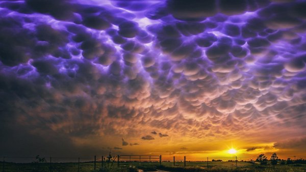 Облака mammatus