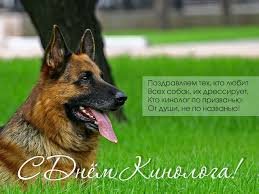 День кинолога 2