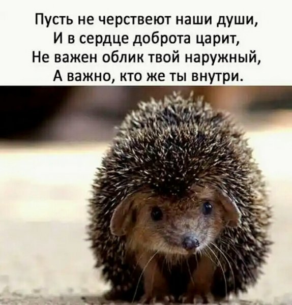 Кто же ты внутри?))
