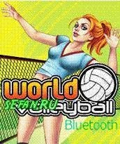 World Volleyball
