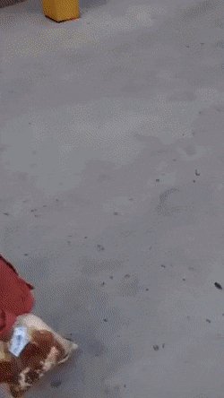 Шлагбаум)