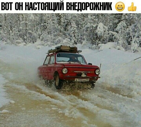 file_91133319