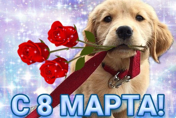 С 8 марта