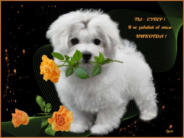 Ты-супер! И не забывай об этом никогда!
