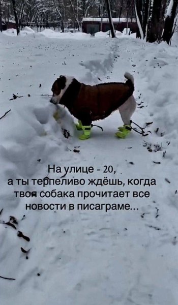 IMG 20260309 005521 790