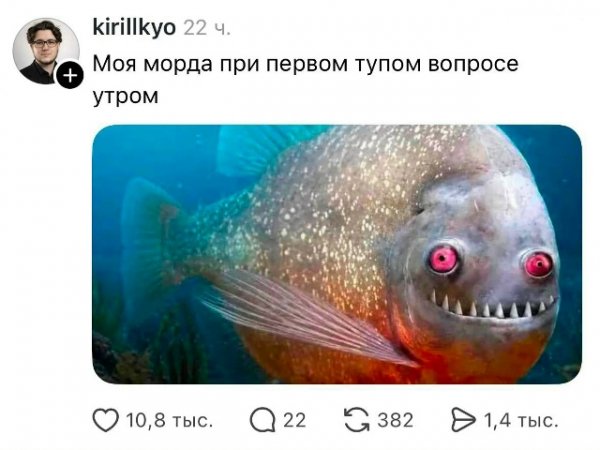 file_103234477