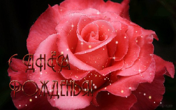 анимированная открытка с днем рождения-4