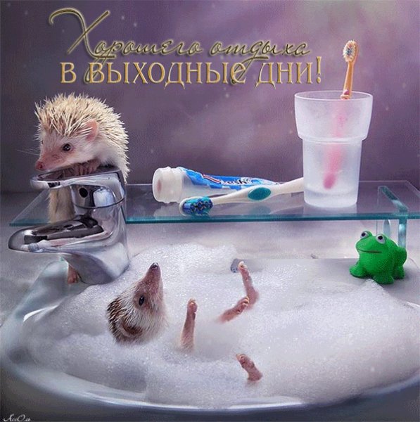 Хорошего отдыха в выходные дни!